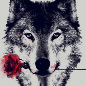 Meet your Posher, Astrid